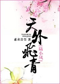 (陸小鳳同人)天外飛青
