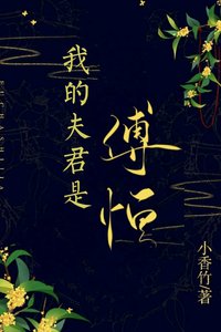 我的夫君是傅恆(清穿)
