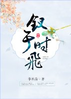[紅樓]釵於時飛