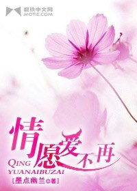 情愿爱不再